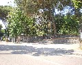 07532 Via E. De Nicola.jpg (131978 bytes)