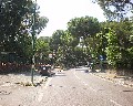 07538 Via E. De Nicola.jpg (117962 bytes)