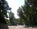 07541 Via E. De Nicola.jpg (100243 bytes)