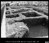 corel008.jpg (91027 bytes)