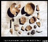 corel023.jpg (65816 bytes)