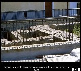 corel114.jpg (76941 bytes)