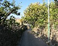 0020 - veduta.jpg (138336 bytes)