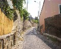 19503  Via Boccea.jpg (83291 bytes)