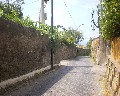 19504  Via Boccea.jpg (85987 bytes)