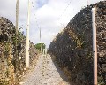 19518  Via Boccea.jpg (80393 bytes)