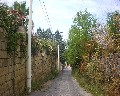 19542  Via Boccea.jpg (100732 bytes)