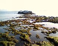 00043  scoglio lungo - bassa marea.jpg (66484 bytes)