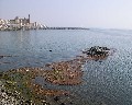 00044 scoglio lungo con bassa marea  - veduta del molo di ponente.jpg (65525 bytes)