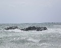 00050  scoglio lungo l'attimo di calma.jpg (38145 bytes)