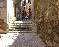 00518 Vico Orlando.jpg (76766 bytes)