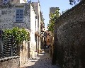 00521 Vico Orlando.jpg (82789 bytes)
