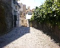 00525 Vico Orlando.jpg (80817 bytes)