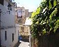 00526 Vico Orlando.jpg (69636 bytes)
