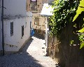 00527 Vico Orlando.jpg (62399 bytes)