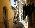 00547  terzo vico costan..jpg (62631 bytes)