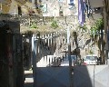 01023 Via Pontillo a Cavour Vista del fronte lavico.jpg (68867 bytes)