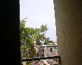01548.jpg (52522 bytes)