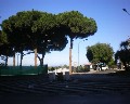 02359 Via Alcide De Gasperi.jpg (38192 bytes)