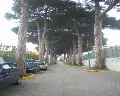 02361 C.da, S. Ant. Viale Complesso La Salle Comune di Torre del Greco.jpg (84276 bytes)