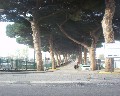 02362 C.da, S. Ant. Viale La Salle Comune di Torre del Greco.jpg (81589 bytes)