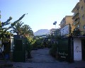 02387 Viale Campania Particolare.jpg (35647 bytes)