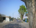 02389 Viale Campania.jpg (48651 bytes)
