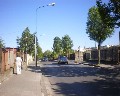 02395 Viale Campania.jpg (47457 bytes)