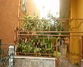03004 Via del Cammeo.jpg (55153 bytes)