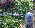 04522 giardino.jpg (96595 bytes)