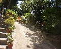 04528 Giardino.jpg (88897 bytes)
