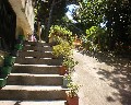 04529 Giardino sotto casa.jpg (81348 bytes)