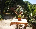 04533 Giardino.jpg (87819 bytes)