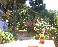 04534 Giardino.jpg (90366 bytes)