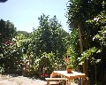 04535 Giardino.jpg (93311 bytes)