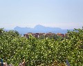 04541 Panorama.jpg (77115 bytes)