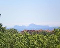 04542 Panorama.jpg (65620 bytes)