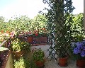 04544 Dalla Loggetta.jpg (93976 bytes)