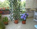 04545 Dalla Loggetta.jpg (85498 bytes)