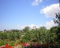 04546 Panorama.jpg (69474 bytes)