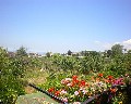 04547 Panorama.jpg (65984 bytes)