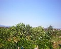 04548 Panorama.jpg (64564 bytes)