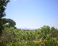 04549 Panorama.jpg (66804 bytes)