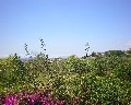 04550 Panorama.jpg (74401 bytes)