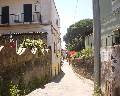 05527  1a Traversa Bianchini primo tratto a destra a salire Targa Via Fosso Bianco.JPG (173583 bytes)