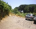 05539  1a Traversa Bianchini primo tratto a destra a salire Panorama.JPG (78295 bytes)