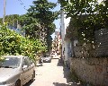 05540  1a Traversa Bianchini primo tratto a destra a salire Panorama.JPG (38328 bytes)