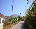 05509  1a Traversa Bianchini primo tratto a destra a salire.JPG (60257 bytes)
