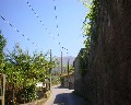 05515  1a Traversa Bianchini primo tratto a destra a salire.JPG (50902 bytes)