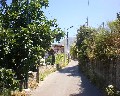 05521  1a Traversa Bianchini primo tratto a destra a salire.JPG (89157 bytes)
